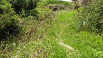 View  further downstream