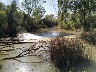 Sandilong Creek, Riverside Golf Club, Mildura