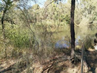 Sandilong Creek, Riverside Golf Club, Mildura