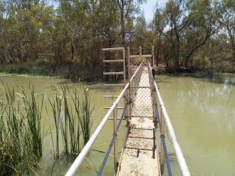 Regulator, Kings Billabong, Murray River, Mildura