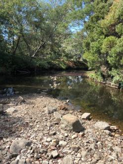 Looking towards our collection site. Very shallow, we were able to walk up stream