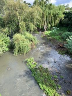 High flow over riffles next to Rushall train stati0n