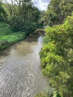 Taken on footbridge looking downstream