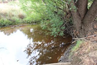 Upstream