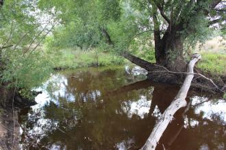 Down stream