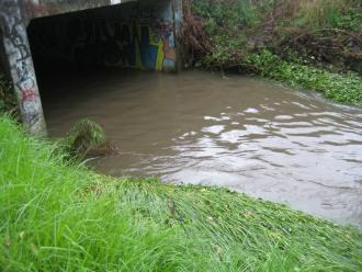 waterway in flood