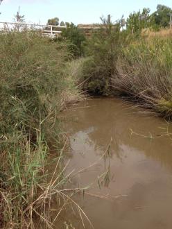 FOR650 upstream, heavy rain the day before