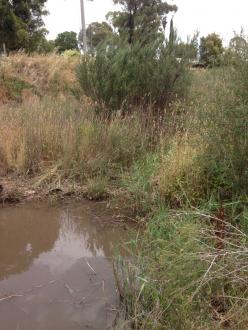 FOR650 downstream after heavy rain the day before