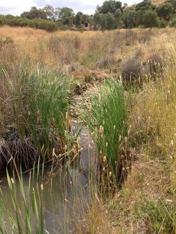 downstream