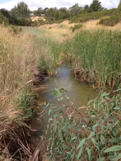upstream