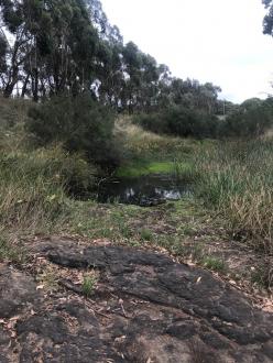 20 metre pool Doggetts Bridge