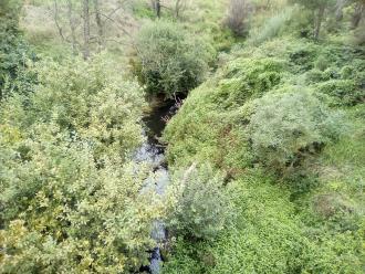 Looking south from bridge