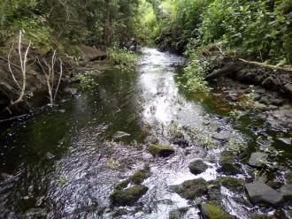 Looking south from under the bridge