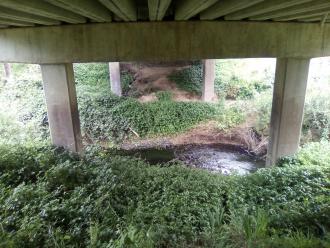 Looking east under bridge