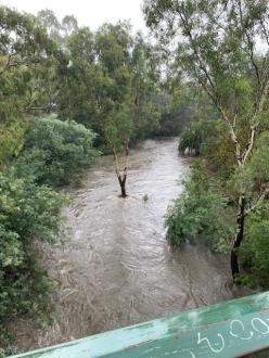 Merri Creek looking US on road bridge