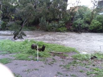 Creek bank rising