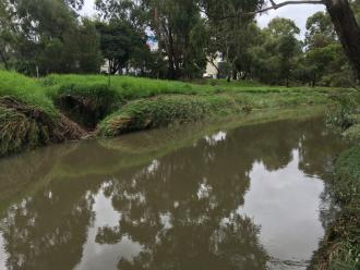 looking upstream from sample site