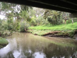 looking downstream from sample site