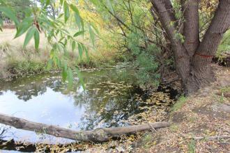 Upstream