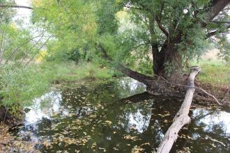 Down stream