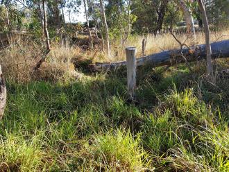 cutting up of fallen trees in Myrtle Creek Reserve