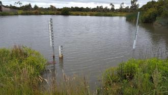 Old and new depth markers in the wetland - 1.55 on one, 58 on the other!