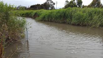 New depth marker in the creek, reading 40