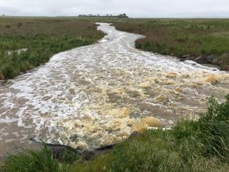 Channel flow to Lake Corangamite