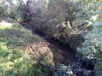 Looking north from bridge