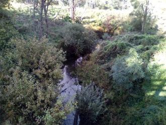 Looking south from bridge