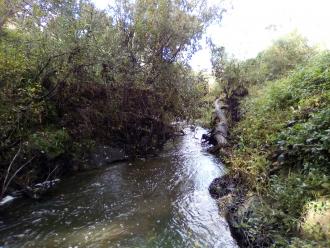 Looking south under bridge