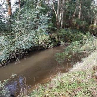 heaps of water