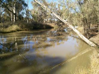 Murray River Off shoot Upstream