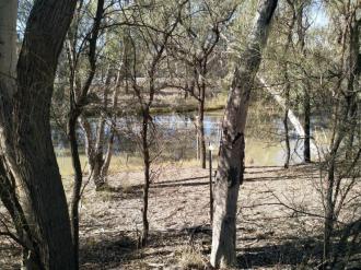 Murray River Off shoot Site