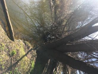 Upstream