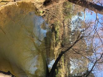 Down stream
