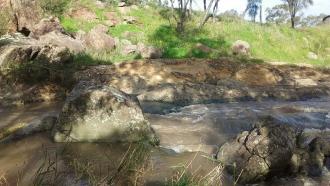 looking across site, high flow