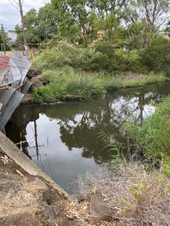 Photos taken upstream of Edgars Creek