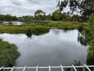 Photos taken upstream of Edgars Creek