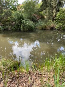 Photos taken upstream of Edgars Creek