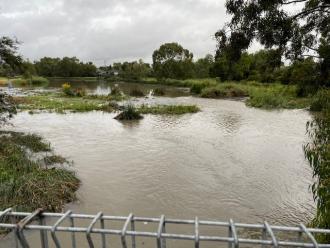 Upstream of Edgars Creek