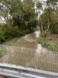 Upstream of Edgars Creek