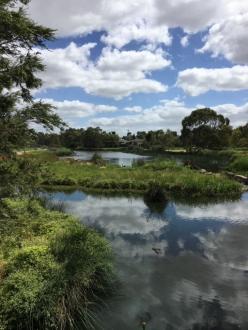 Upstream of Edgars Creek