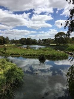 Upstream of Edgars Creek