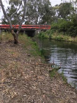 Upstream of Edgars Creek