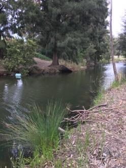 Upstream of Edgars Creek