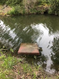 Upstream of Edgars Creek