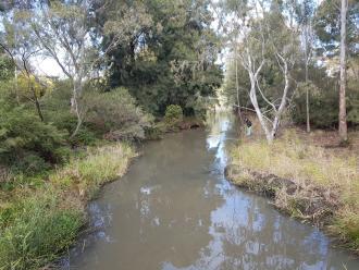 Upstream of Edgars Creek