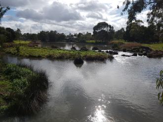 Upstream of Edgars Creek