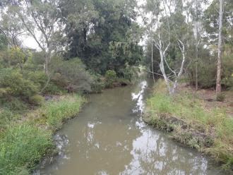 Upstream of Edgars Creek